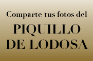 Comparte tus fotos del Piquillo de Lodosa